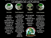 poder Fases lunares Siembra, recolección trasplantes, injertos otros factores Plantas