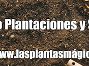 Calendario Plantaciones Siembra Enero