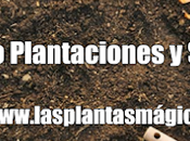 Calendario planaciones, siembra recoleccion plantas