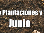 Calendario Plantaciones Siembra Junio