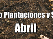 Calendario Plantaciones Siembra Abril