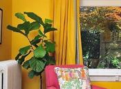 Amarillo Primavera.