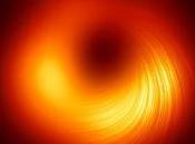 Obtienen imagen campos magnéticos cerca agujero negro