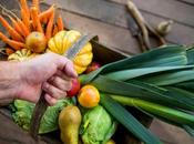 Comprar frutas verduras directamente agricultor EcoSarga