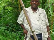 Gashaw Tahir, hombre plantó millón árboles