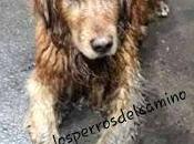 lluvia