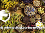 Listado Plantas Mágicas utilizadas magia