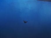 Vigilados (The Rental)