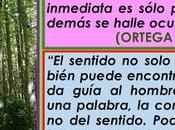 verdad está escondida detrás hechos cosas