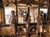 Museo Herminio Revilla