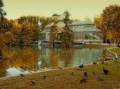 Mágico Palacio Cristal