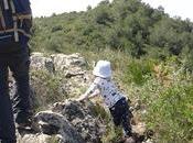 Ruta circular Torre Montferri Camp (Tarragona)