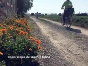 Delta Llobregat bicicleta