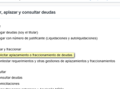 Solicitud aplazamiento fraccionamiento deudas Agencia Tributaria