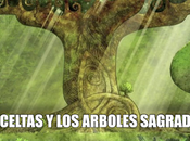 celtas arboles sagrados