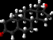 dieta determina niveles testosterona hombres