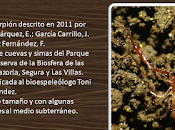 Biología Subterránea Jaén