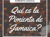 ¿Qué Pimienta Jamaica?