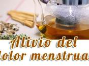 Alivio dolor menstrual remedios caseros