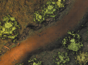 Forest Road Map, CZRPG