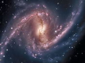 1365: Gran Galaxia Espiral Barrada