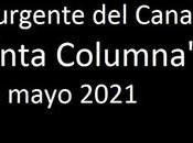 llamado urgente Quinta Columna mayo 2021)