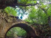 Puente Rojadillo