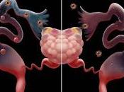 Descubren mecanismo transporte trompas Falopio