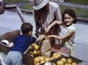 Recolector Botellas.🍶