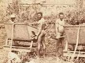 Obreros Canal Francés