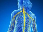 mundial Esclerosis Múltiple