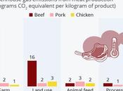 ¿Comer carne contamina medioambiente?