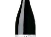 Aula Autor Syrah 2018