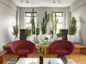 Decorar cactus, plantas superpoderes