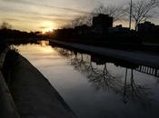 Lagunas Fuenlabrada