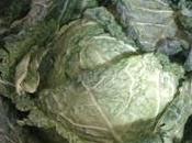 setas calabacitas