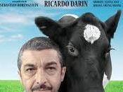 vaca cielo
