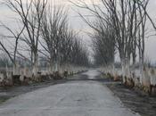 "Una esperanza vida" Ramón Morales. CAPITULO