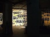 Pozos cenizas (Fotos)