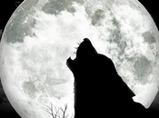 poeta expresa emociones, filósofo somete disciplina