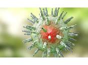 Síntomas prolongados COVID causados ​​por otro Virus
