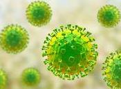 Virus Nipah podria causar nueva Pandemia