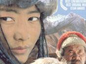 HIMALAYA Eric Valli