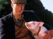 BABE, CERDITO VALIENTE Chris Noonan