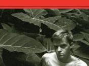 Cuentos completos truman capote