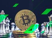 StormGaim analiza estrategias básicas trading criptomonedas