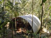 casa inmersa naturaleza Brasilera: Estructura Llamada Casa Arca