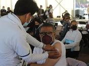 texcoco vacunan adultos años, inicia aplicación segunda dosis para años