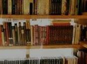 biblioteca incendiada renace cenizas.