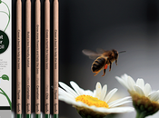 Sprout World lanza edición especial lápices contra extinción abejas